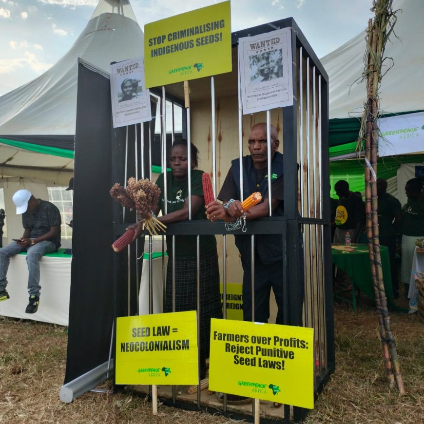 Kenyan Farmers Protest Against Punitive Seed Laws