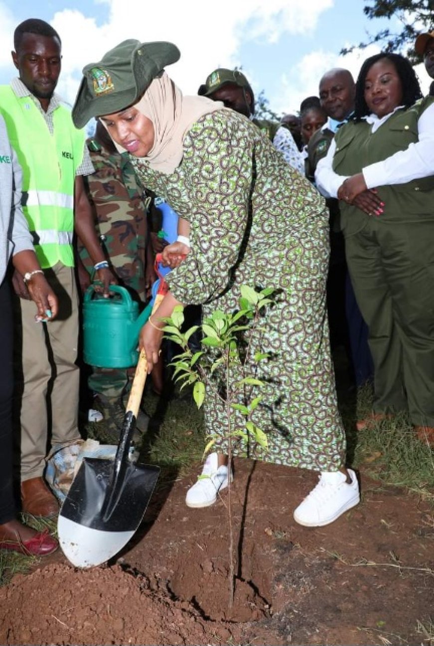 Kenya's Tree Planting Initiative - A Key to Environmental Conservation