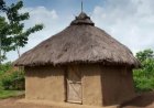Traditional Mud and Dung Houses Prevail in Western Kenya: A Closer Look at Building Material Choices and Socio-Economic Influences