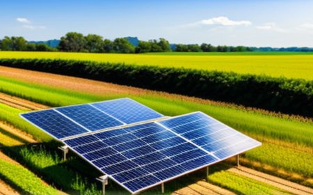 Transforming Kenyan Agriculture: Harnessing Solar Power for Sustainable Farming and Food Security
