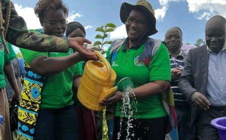 Women from  Vihiga and Kakamega Unite to Conserve Kakamega Rain Forest
