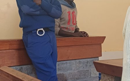 Man Jailed for Illegal Logging in Kakamega Forest