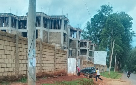 Kakamega's Affordable Housing Plan to Be Completed by September
