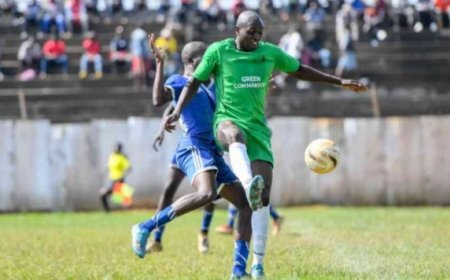 Shule za Musingu na Kakamega zazika tofauti zao