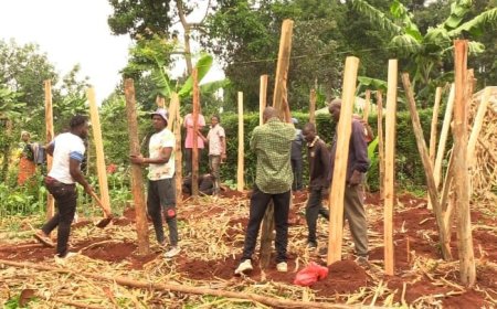 Jamii ya Nyatieko Yaungana Kumsaidia Kijana Aliyenyang'anywa Shamba na Familia