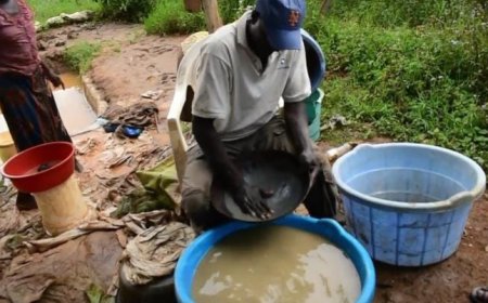 Health and Environmental Risks from Mercury Use in Kakamega Gold Mining