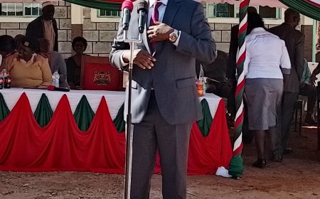 CS Ogamba Directs Education Directors to Audit School Land Titles