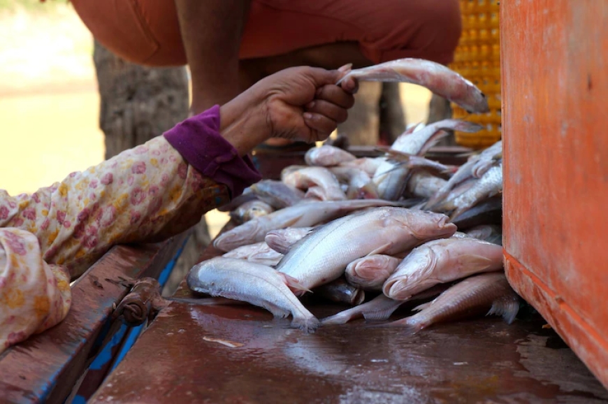 Kenyan Women Fishmongers Break Free from ‘Sex for Fish’ with Cage Farming
