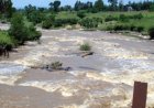 River Nzoia: Western Kenya's Lifeline at a Crossroads