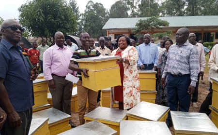 Kakamega County Empowers Idakho East with Apiculture and Tree Nursery Project Worth KSh 4.3 Million
