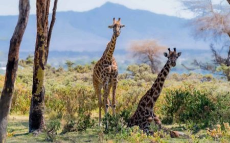 Naivasha Becomes the Stage for the World’s Biggest Wildlife Conversations This September