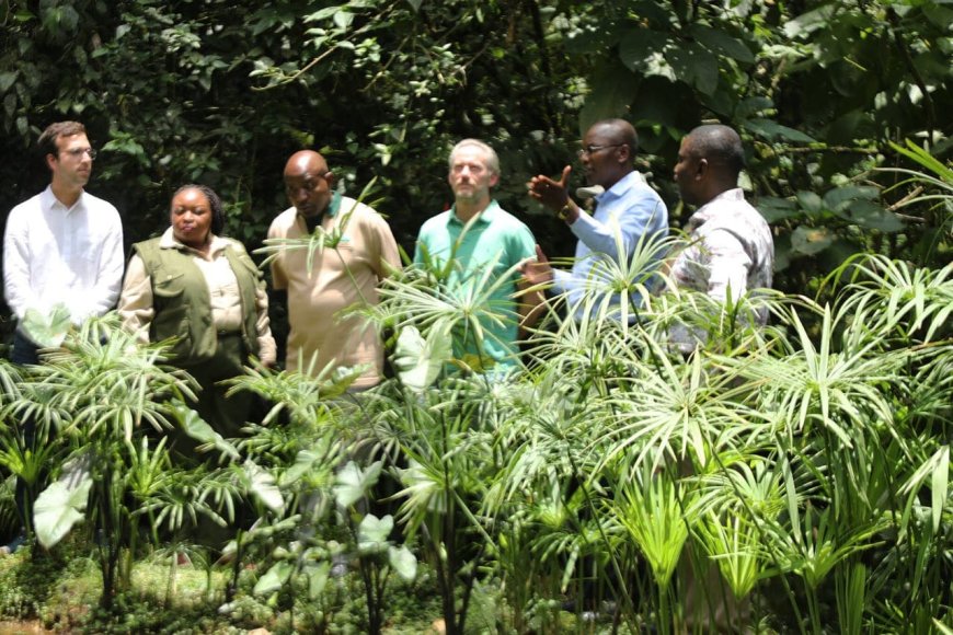 Youth Take the Lead as Kakamega Forest Gets a New Lifeline