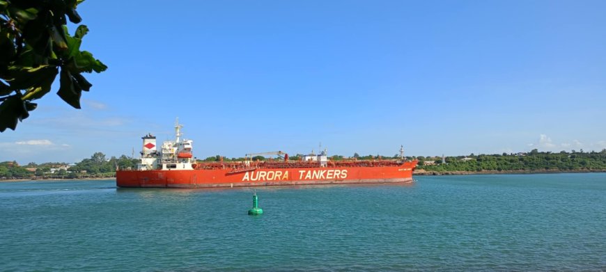 Global Maritime Industry Faces Skills Gap as IMPA Foundation Steps In