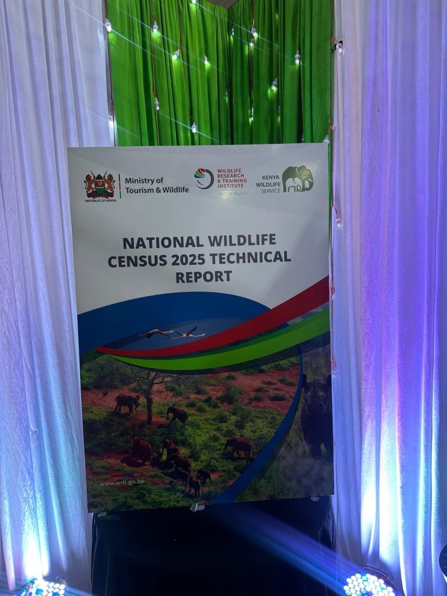 What Kenya’s Latest Wildlife Census Says About Species Recovery and Decline