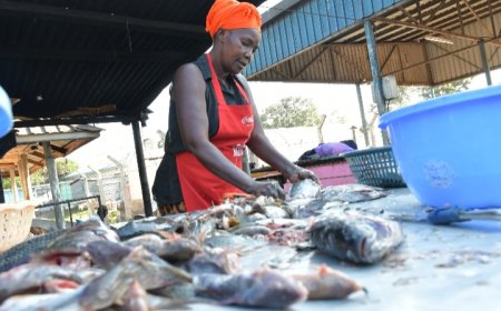 Ghosts in the Machine: AI-Driven Fisheries Erase Lake Victoria’s Women