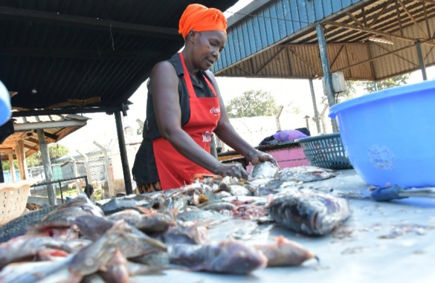 Ghosts in the Machine: AI-Driven Fisheries Erase Lake Victoria’s Women