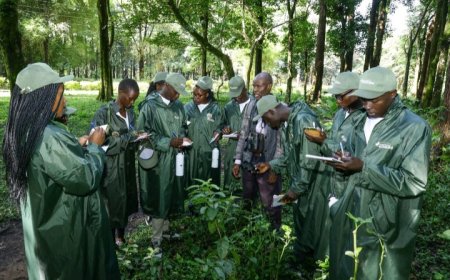 Young EcoGuides Carry Forward Wangari Maathai’s Conservation Legacy in Kakamega